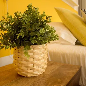 Bed & Breakfast Intendente 1865, Lisbon